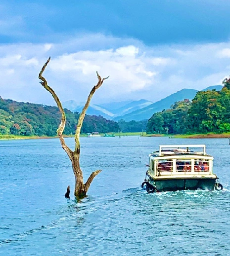 Thekkady Boating